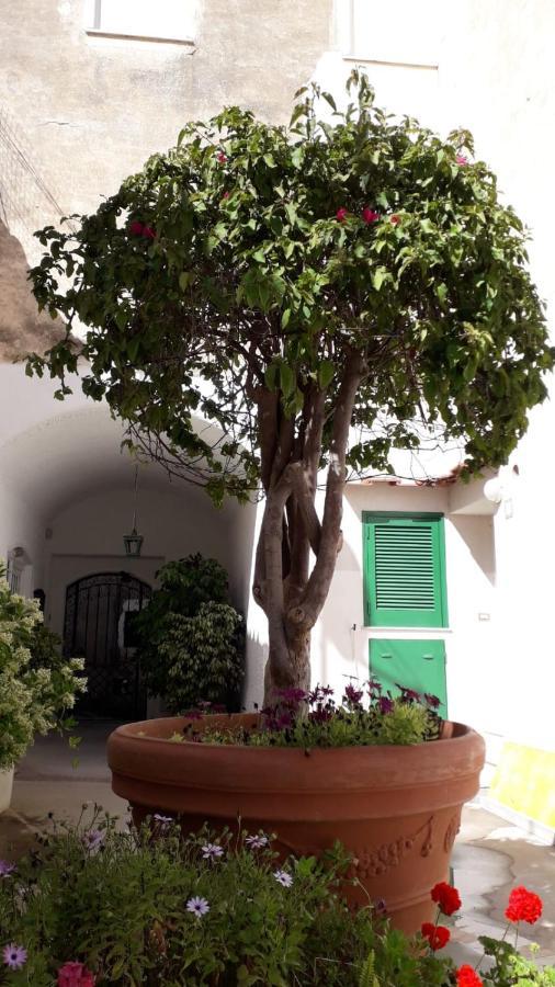 Civico13 Capri Hotel Exterior photo